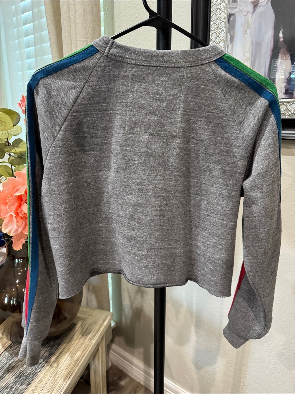 Aviator Nation  Gray Sweatshirt with Rainbow Sleeve Stripes - Picture 5 of 6